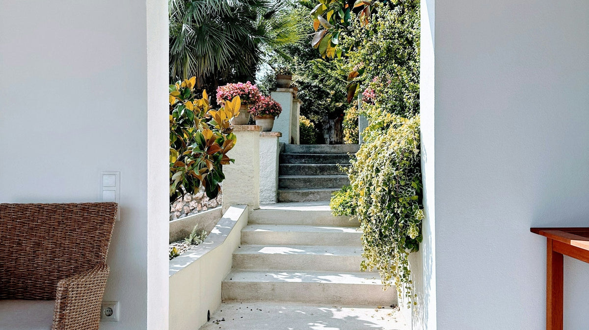 Entrada de casa mediterránea con techo de bóveda de ladrillo, suelo de piedra y puerta abierta a un patio con plantas