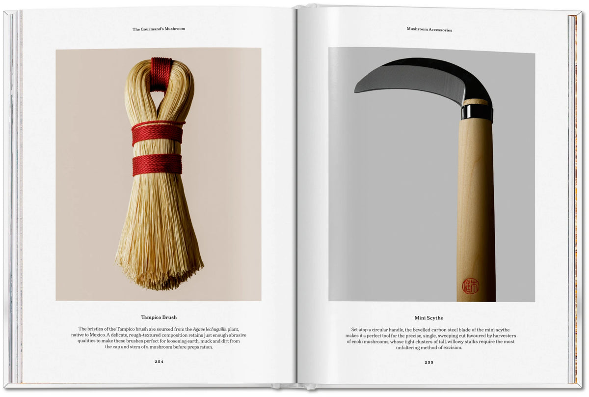 The Gourmand's Mushroom. A Collection of Stories and Recipes – TASCHEN (25)