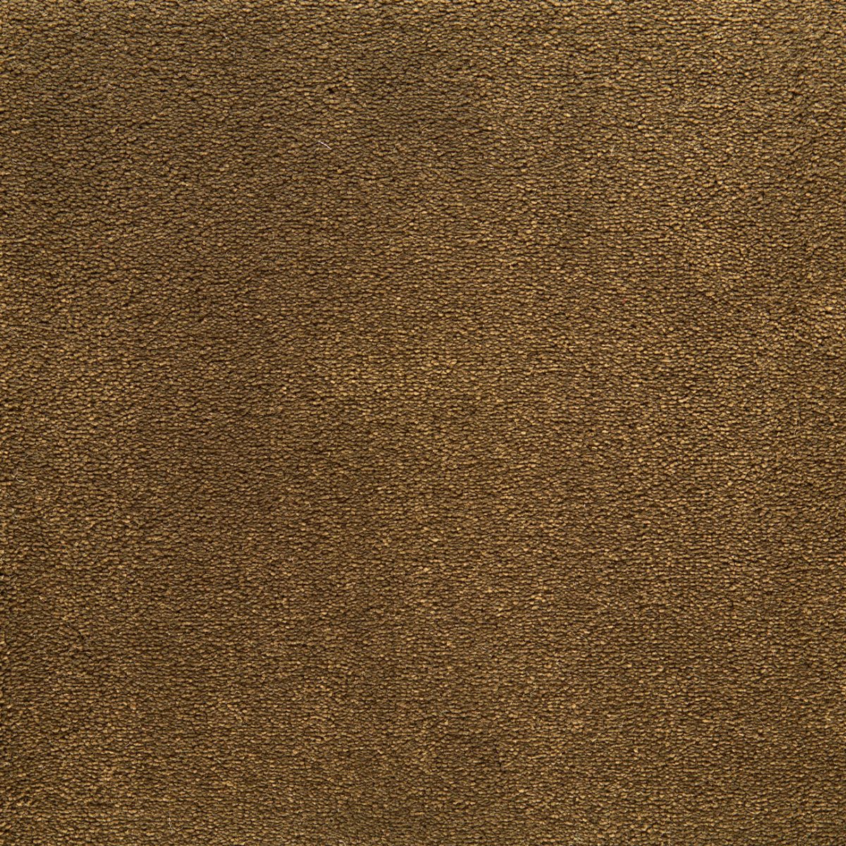 Alfombra rectangular de poliamida Korinna - 153 Toga
