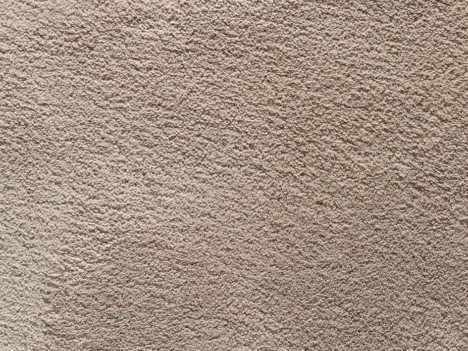 Alfombra rectangular de poliamida Xuavi - 39 Koala Sedoso