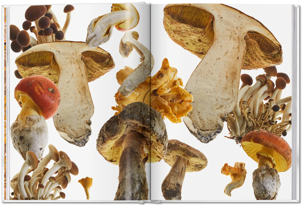The Gourmand's Mushroom. A Collection of Stories and Recipes – TASCHEN (4)
