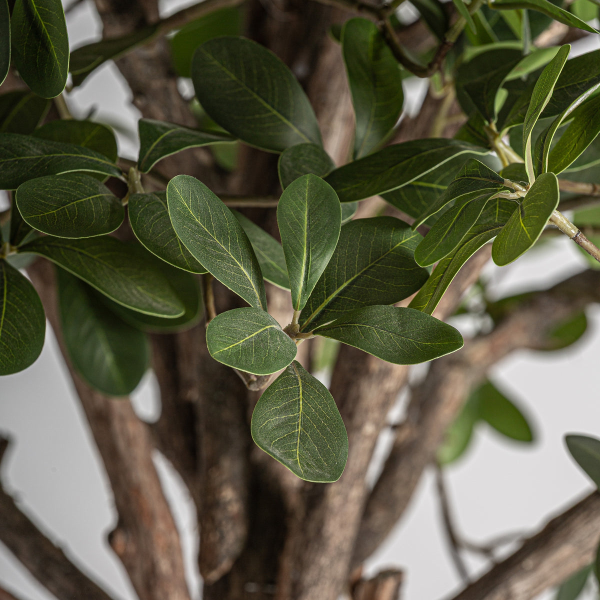 Ficus artificial Lapta