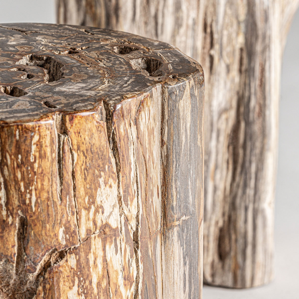 Mesa auxiliar de madera petrificada Carrizo alta