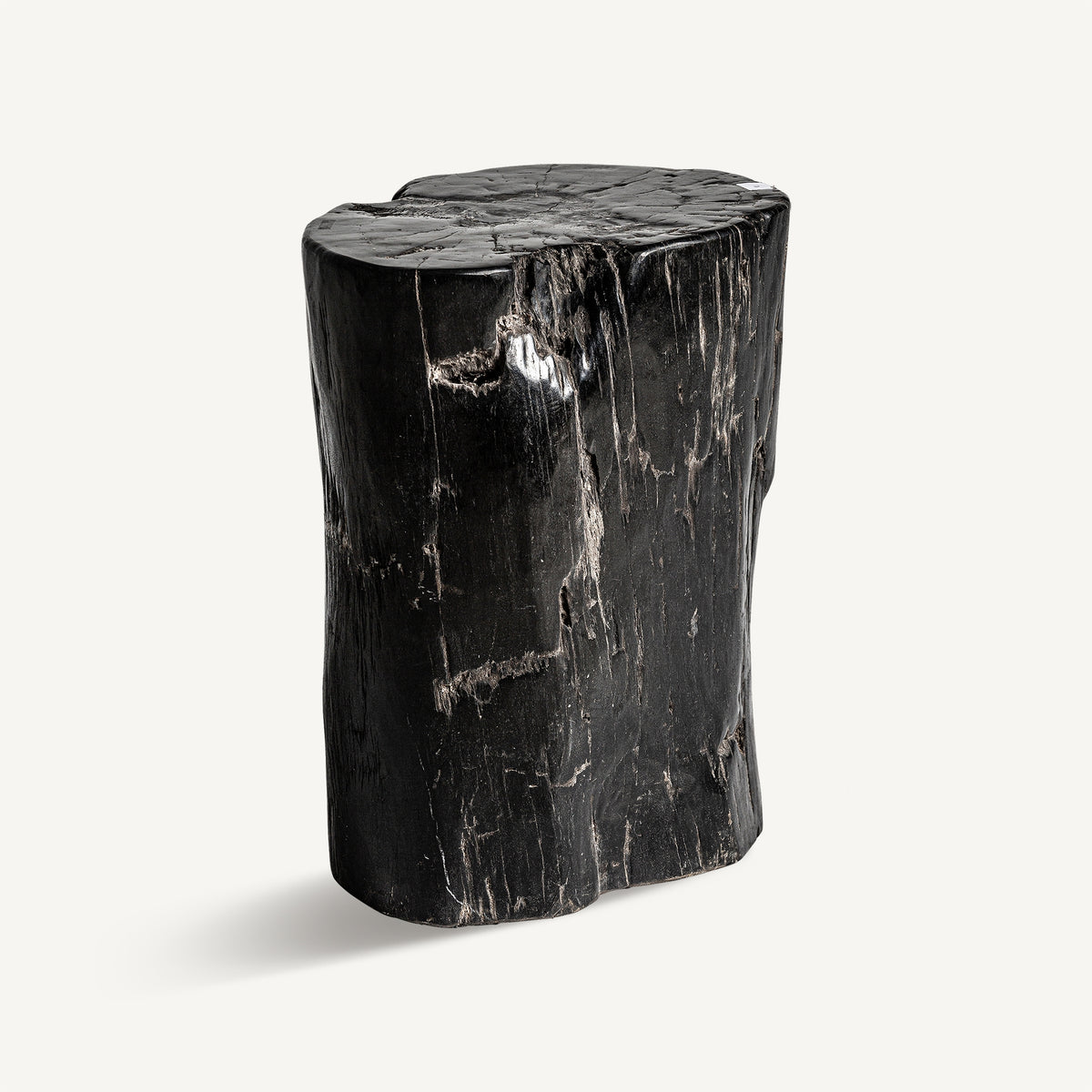 Mesa auxiliar de madera petrificada Carrizo baja