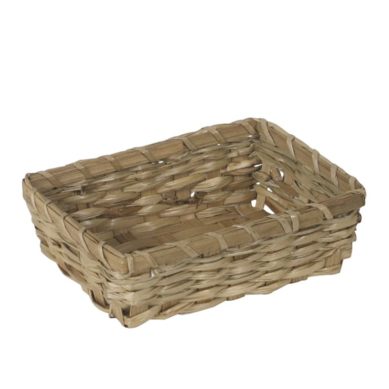 Panera Nobilis - #pino_y_jacaranda#