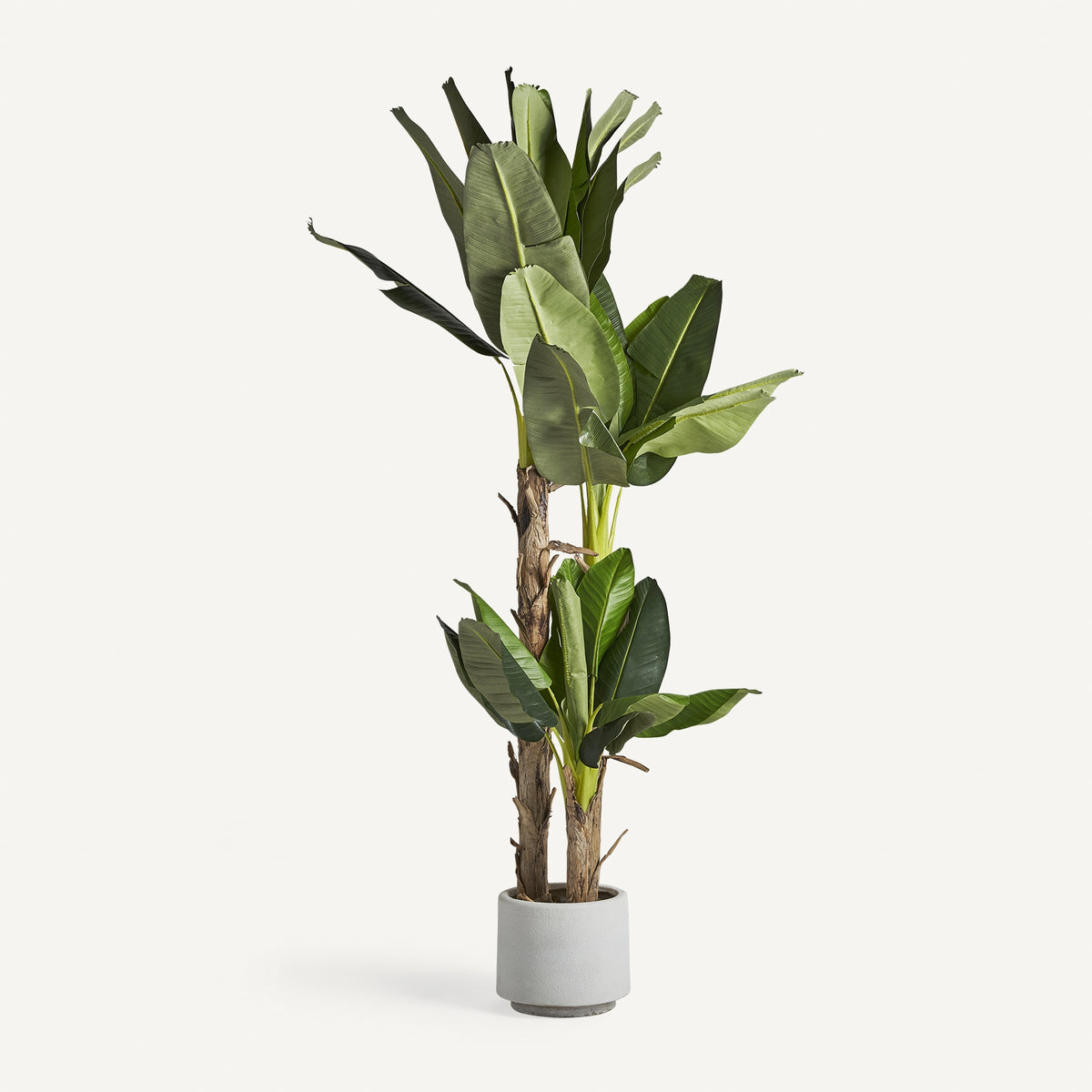 Planta artificial de hoja ancha Benimantell