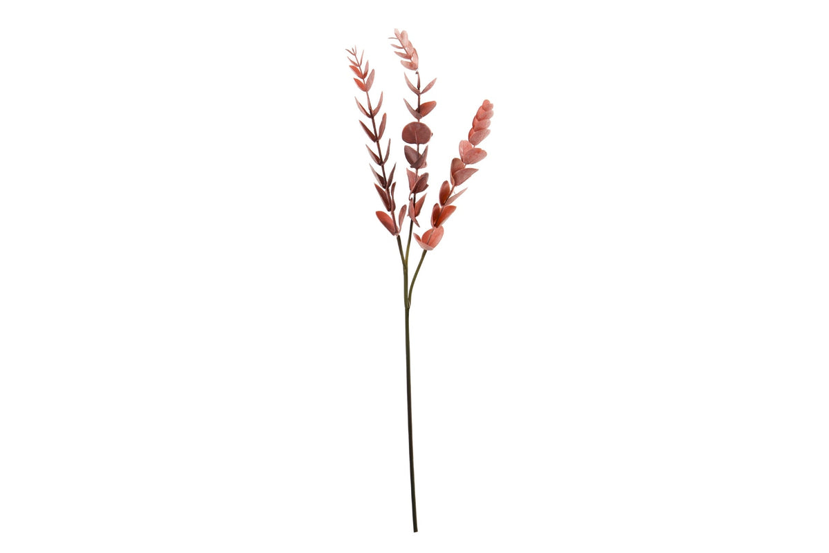 Rama de Eucalipto Rojo II - #pino_y_jacaranda#