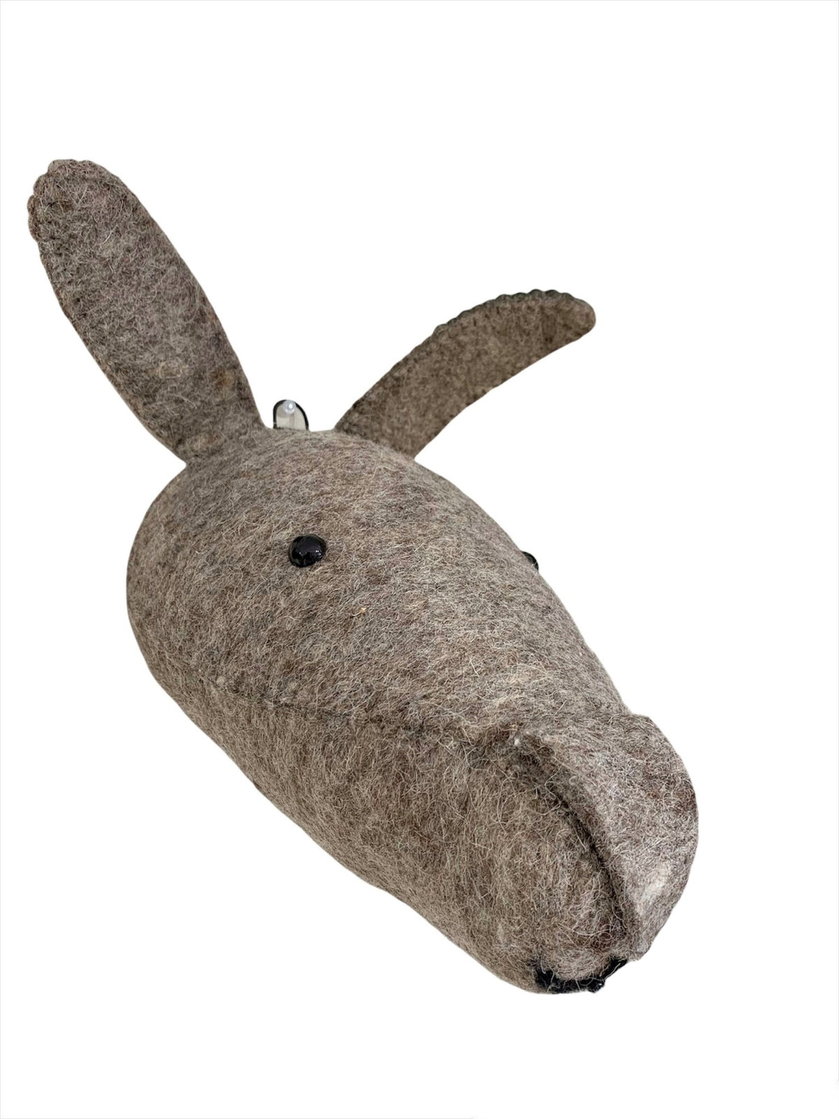 Conejo de Pared - #pino_y_jacaranda#