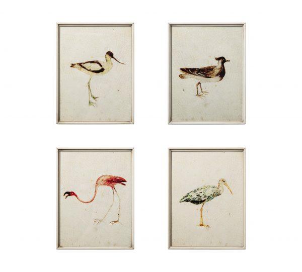 Cuadros Pájaros - #pino_y_jacaranda#