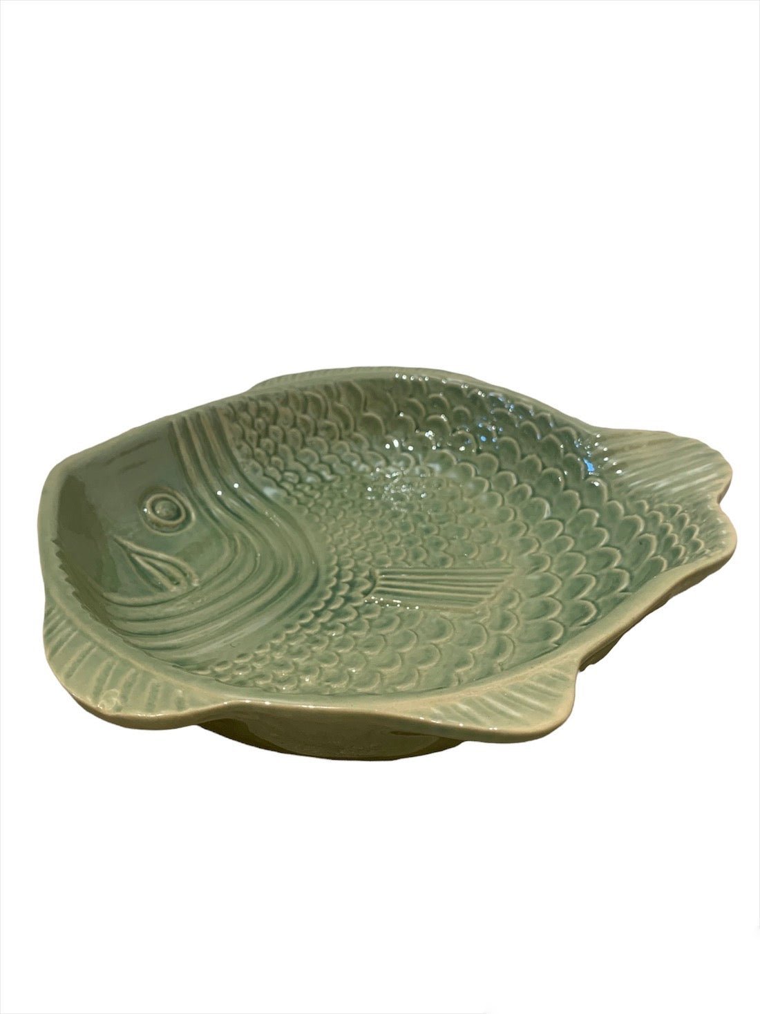 Fuente Fish - #pino_y_jacaranda#