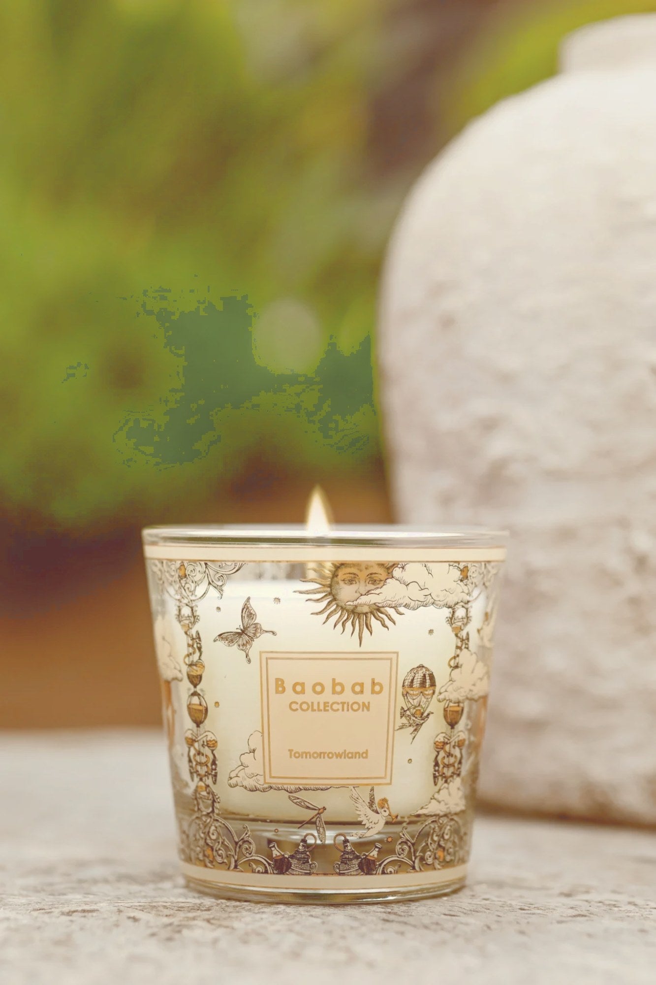 Baobab – Pino & Jacaranda