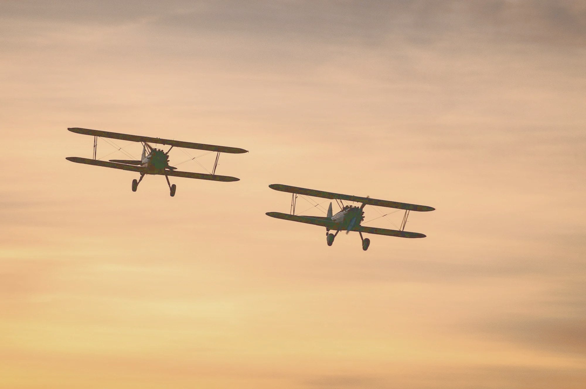 Motivos de Aviación – Pino & Jacaranda