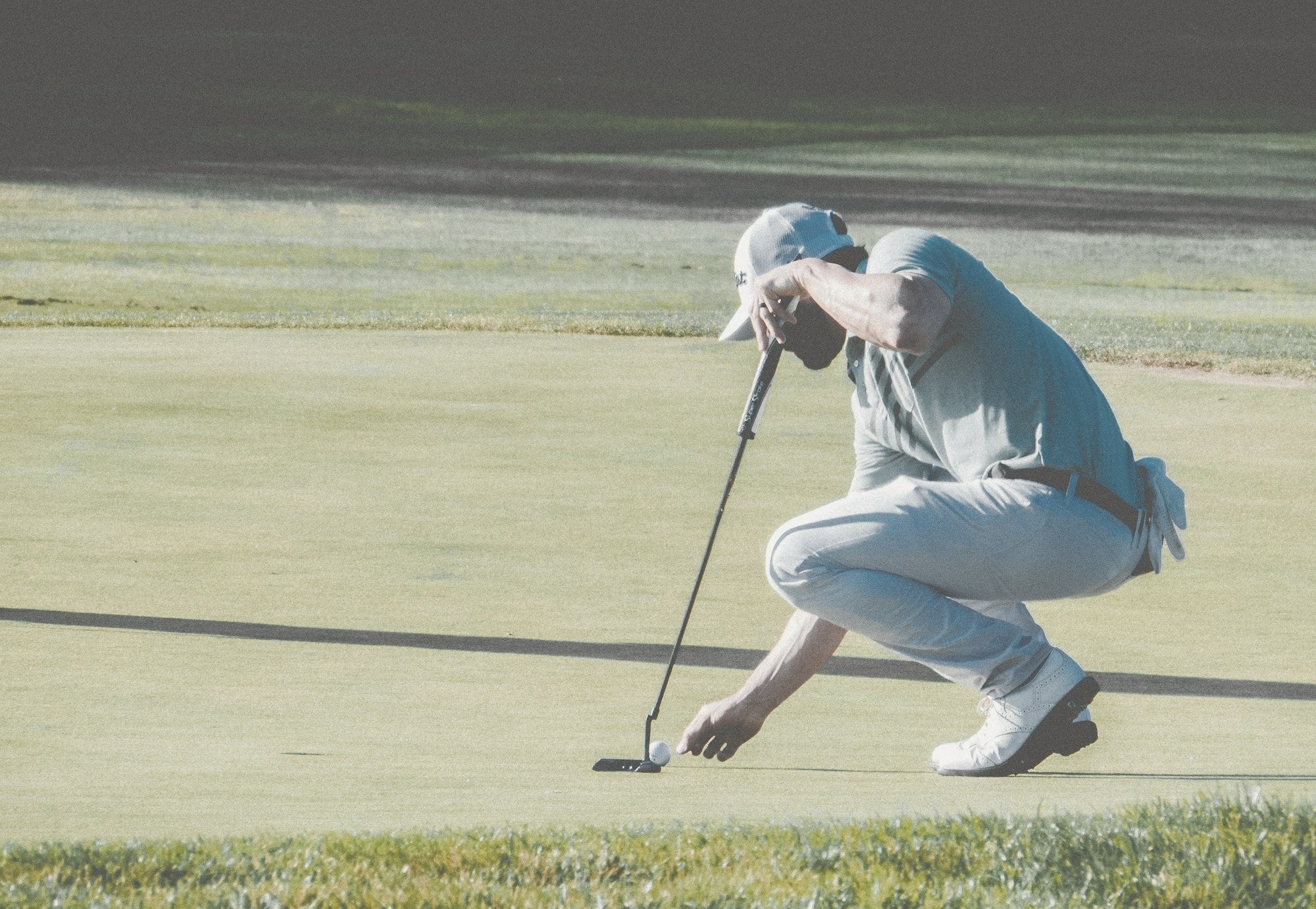 Cuadros de Golf – Pino & Jacaranda