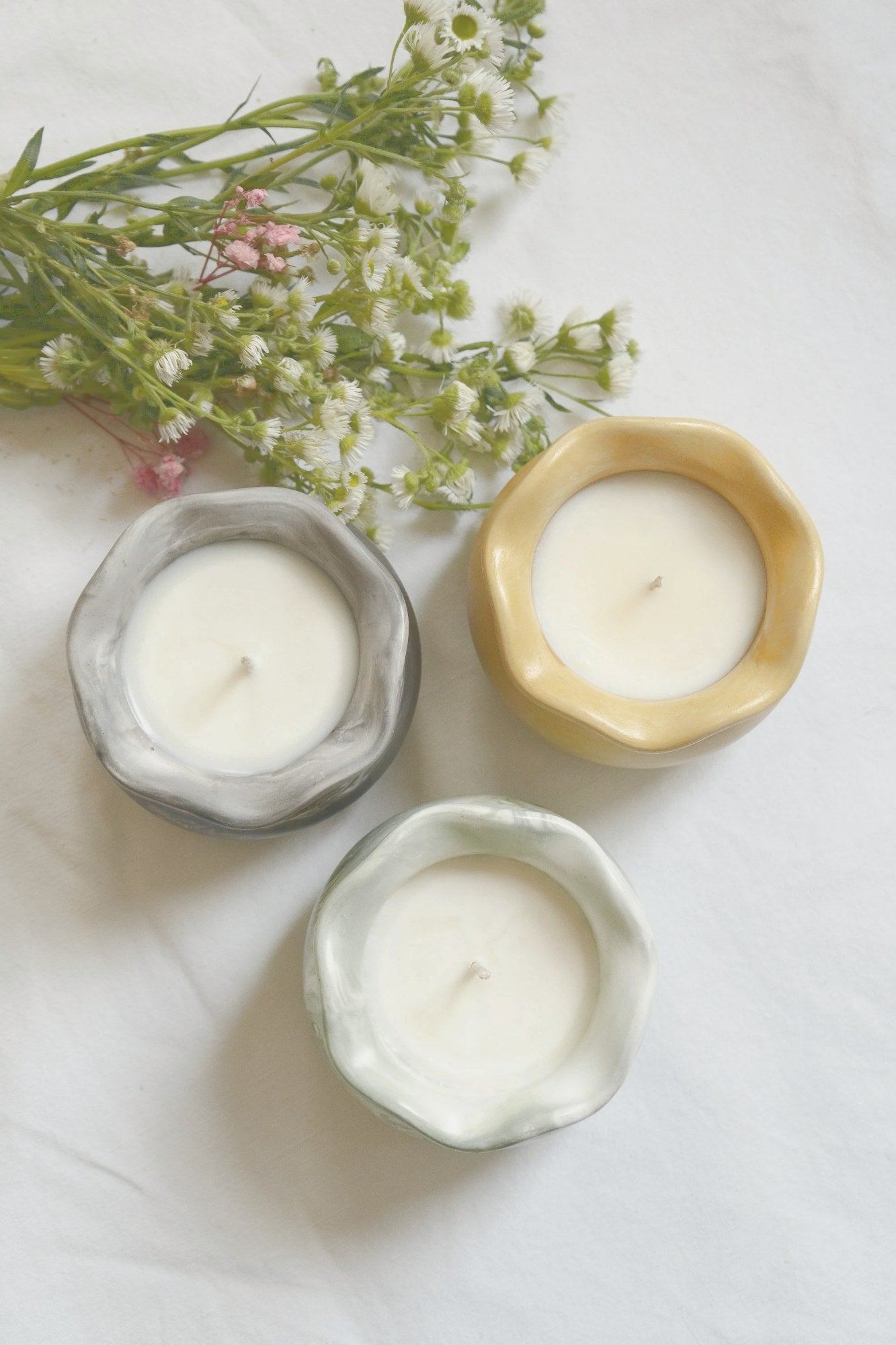 Wax Design – Pino & Jacaranda