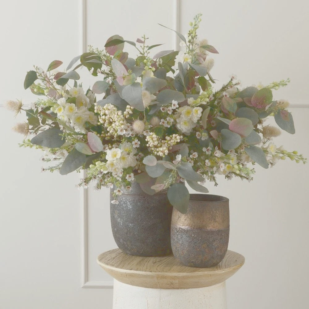 Flores y Plantas – Pino & Jacaranda