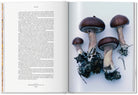 The Gourmand's Mushroom. A Collection of Stories and Recipes – TASCHEN (8)