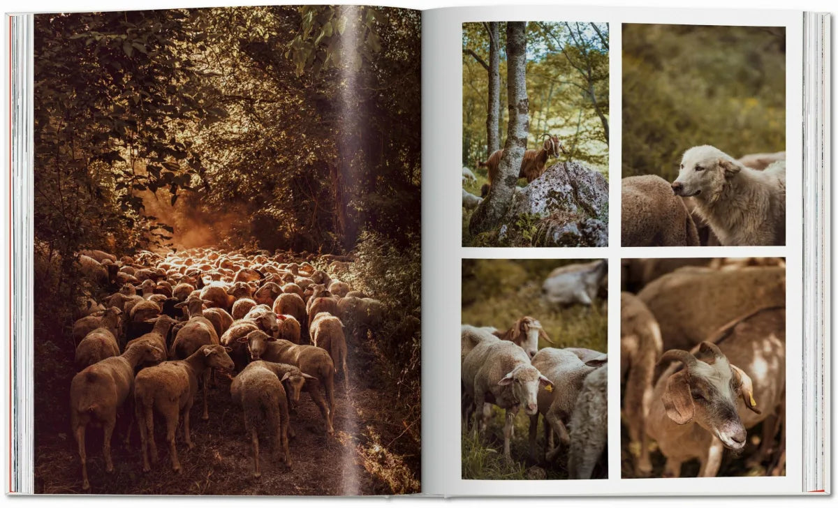 Remote Experiences, libro de viajes de TASCHEN
