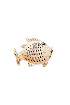 Pez Duna Pequeño – Pino & Jacaranda