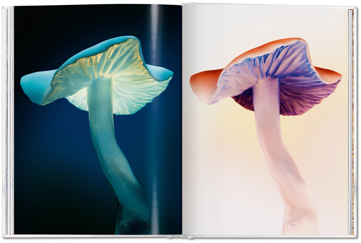 The Gourmand's Mushroom. A Collection of Stories and Recipes – TASCHEN (26)