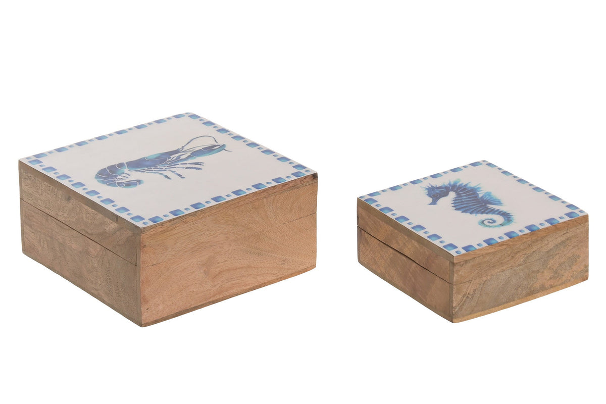 Set de 2 cajas de mango Langosta