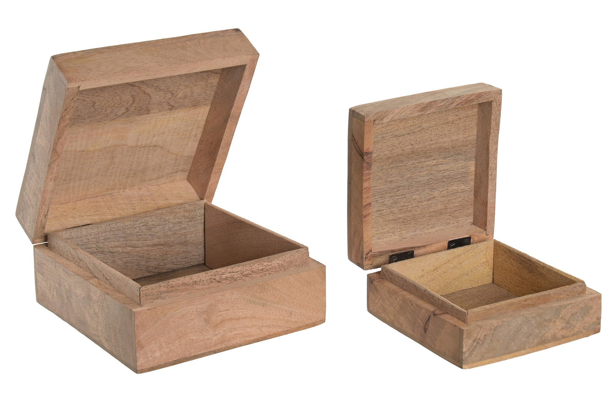 Set de 2 cajas de mango Langosta