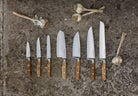 Cuchillo rotoku alveolado Wüsthof Amici 17 cm