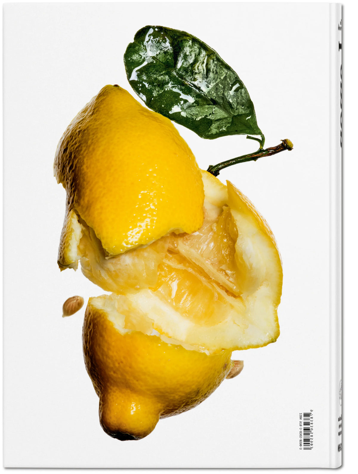 The Gourmand's Lemon. A Collection of Stories and Recipes – TASCHEN (26)