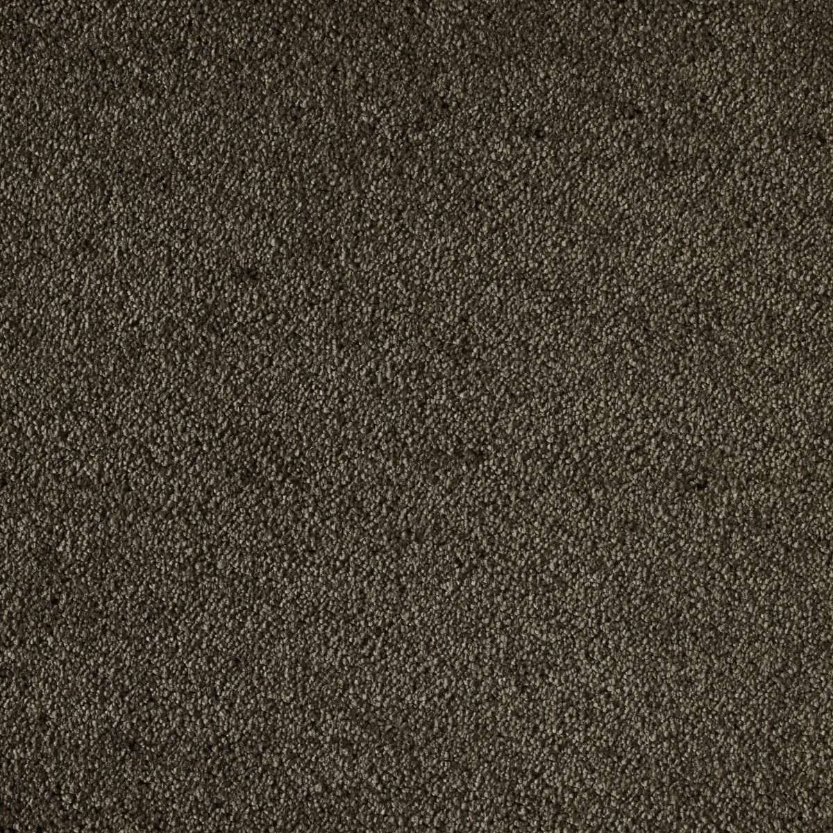 Alfombra rectangular de poliamida Efekto Seda - 280 Bondadoso