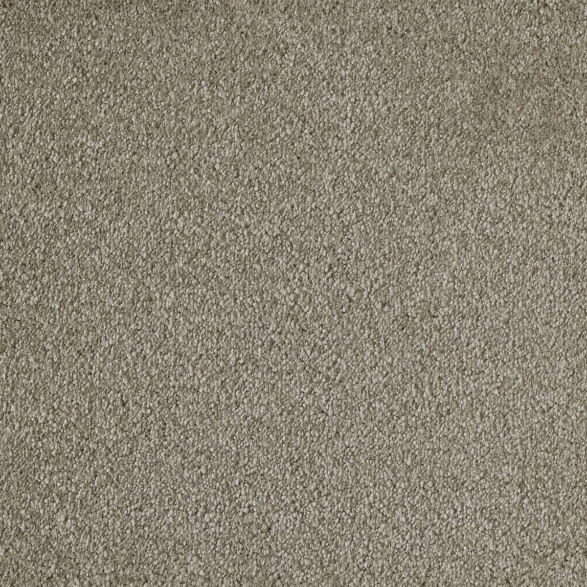 Alfombra rectangular de poliamida Efekto Seda - 433 Sincero