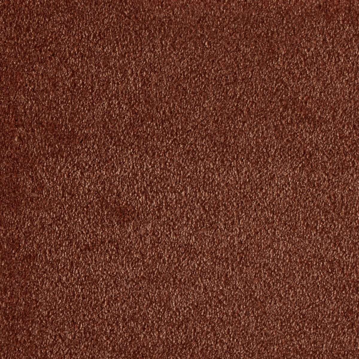 Alfombra rectangular de poliamida Efekto Seda - 183 Tierno