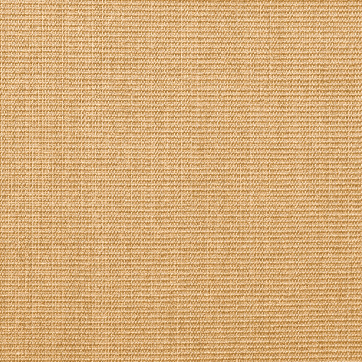 Alfombra rectangular de sisal Kappa - 240 Miel