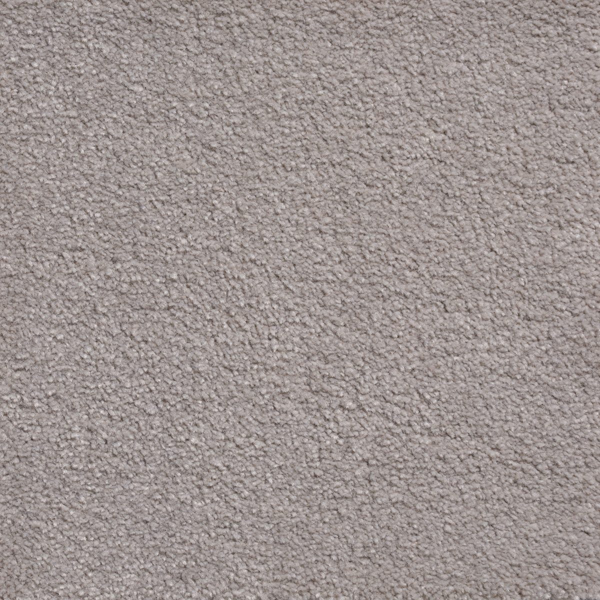 Alfombra rectangular de poliamida King - 06 Agila