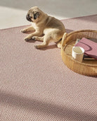 Alfombra Rectangular de Interior y Exterior Terra Serengueti - pino_y_jacaranda