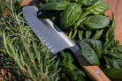 Cuchillo rotoku alveolado Wüsthof Amici 17 cm
