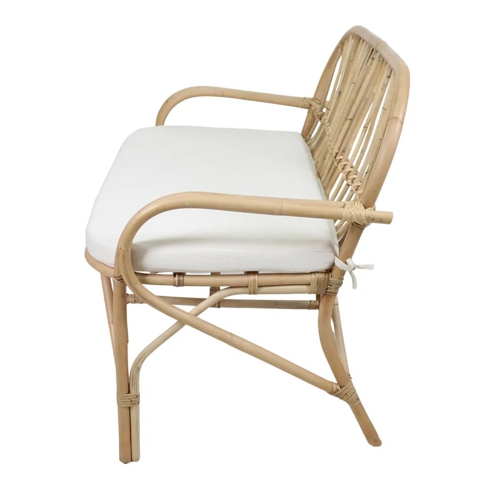 Banco Puerto Vallarta - pino_y_jacaranda