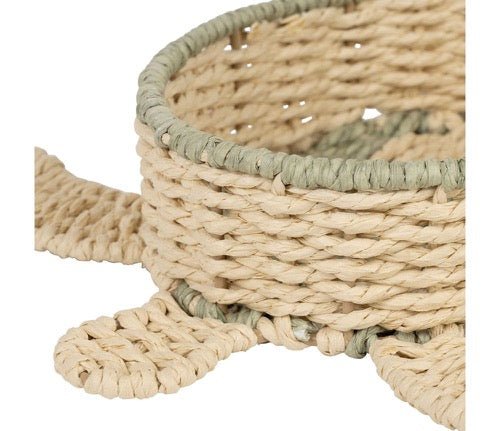 Bandeja Galápago - pino_y_jacaranda