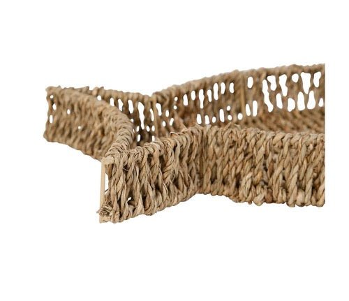 Bandejas Pez Natura - pino_y_jacaranda