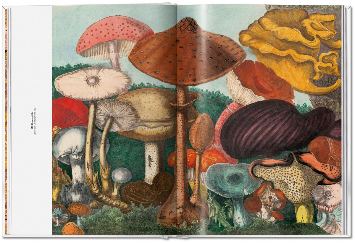 The Gourmand's Mushroom. A Collection of Stories and Recipes – TASCHEN (13)