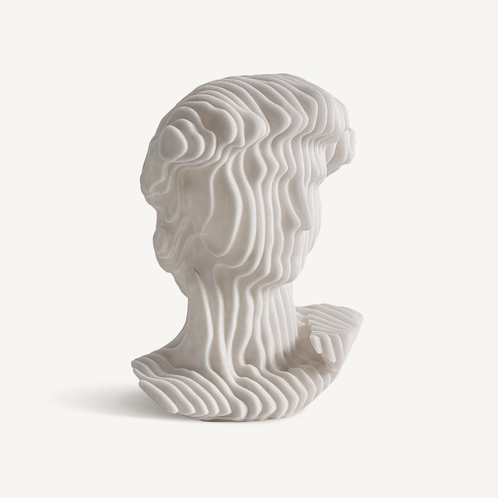 Busto Arcadia - pino_y_jacaranda