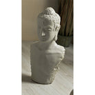 Busto Buda Joven - #pino_y_jacaranda#