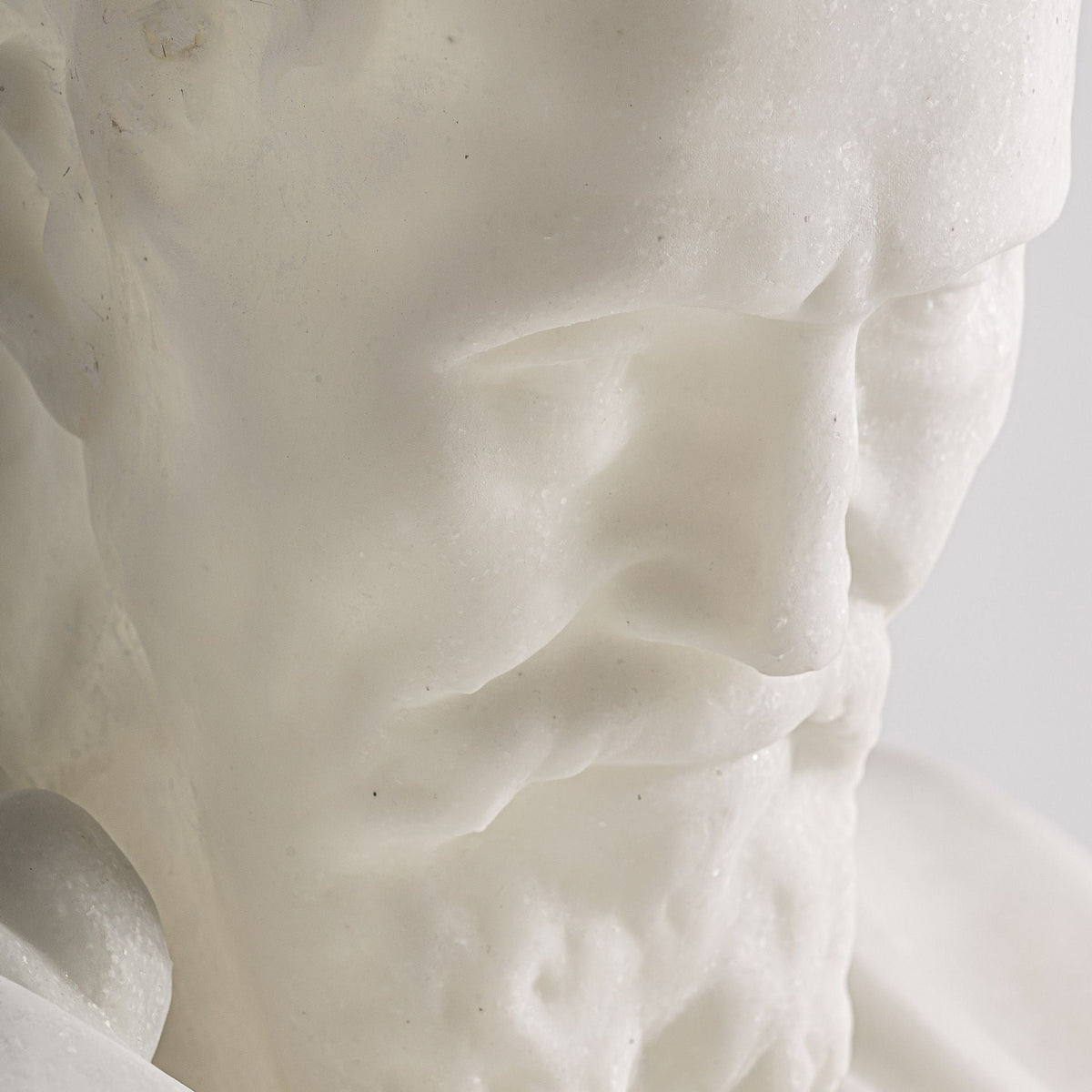 Busto Roma - pino_y_jacaranda