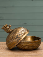 Caja de Decoración Nuez y Ardilla - #pino_y_jacaranda#