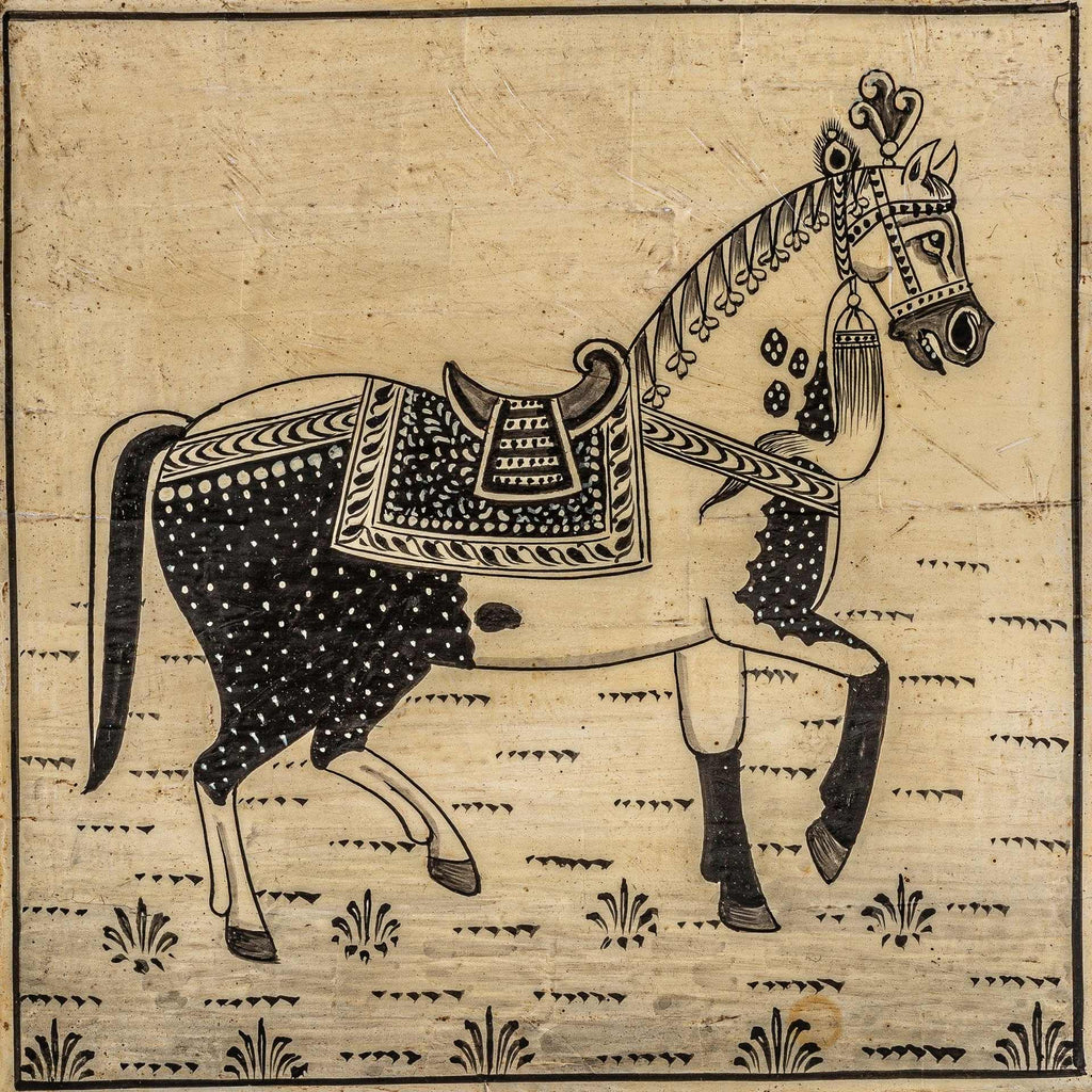 Caja Troya - pino_y_jacaranda