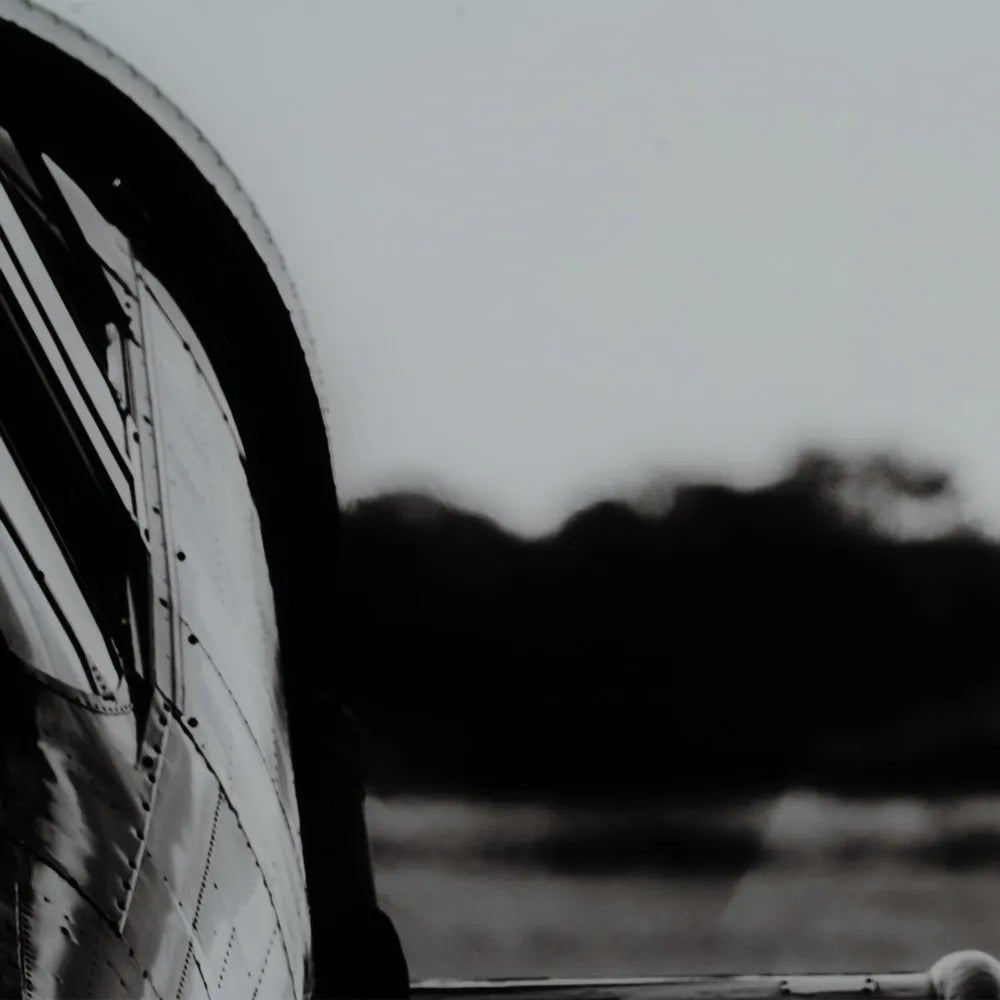 Cuadro Avión de Turbohélice en Pista - pino_y_jacaranda