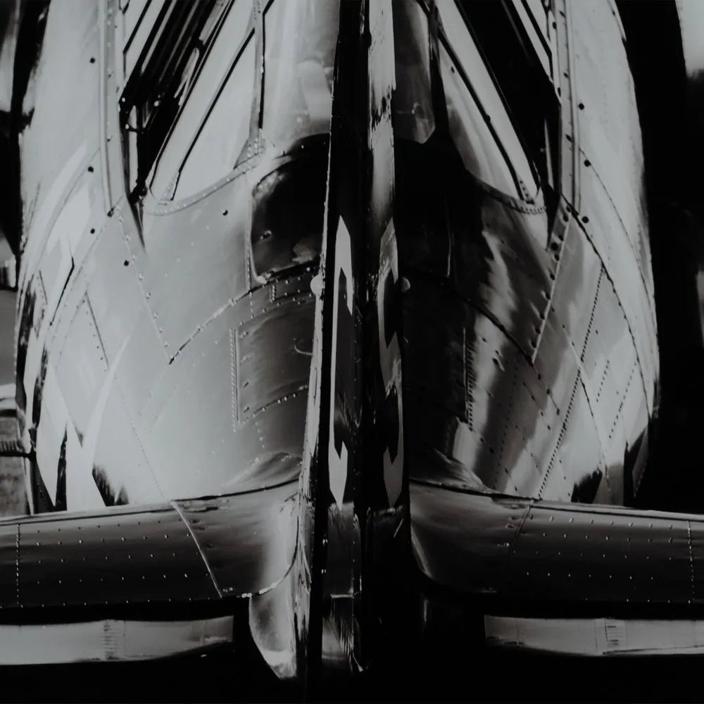 Cuadro Avión de Turbohélice en Pista - pino_y_jacaranda