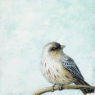 Cuadro Bird Colors II - #pino_y_jacaranda#