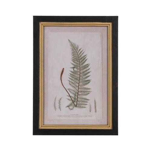 Cuadro Botanic - pino_y_jacaranda