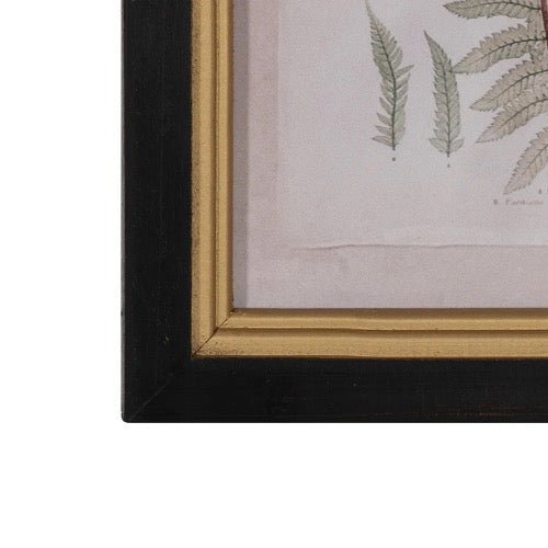 Cuadro Botanic - pino_y_jacaranda