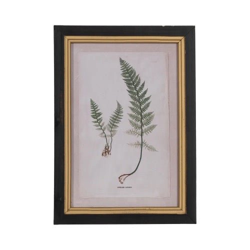 Cuadro Botanic - pino_y_jacaranda