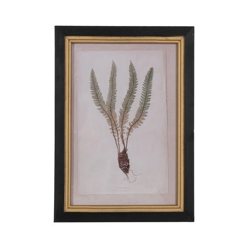 Cuadro Botanic - pino_y_jacaranda